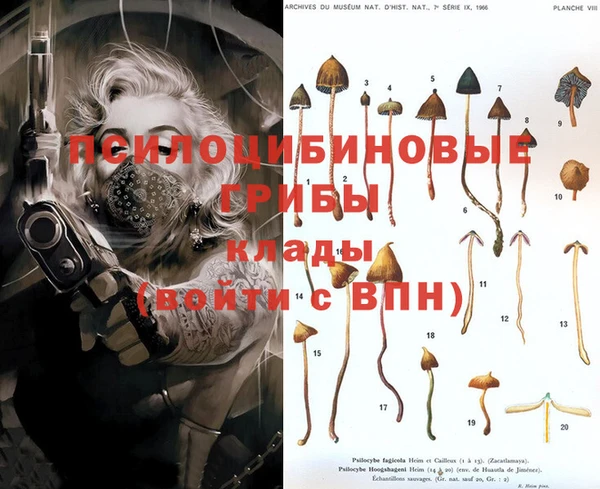 ПСИЛОЦИБИНОВЫЕ ГРИБЫ Армянск