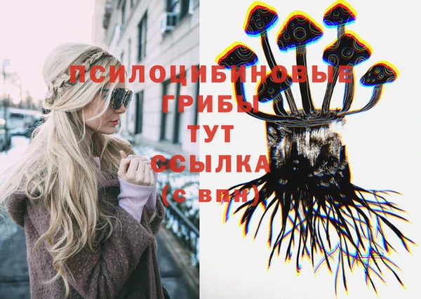 тгк Арсеньев