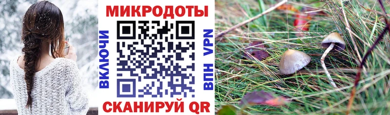 Псилоцибиновые грибы прущие грибы Миасс